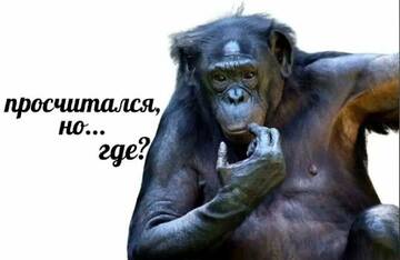 https://forumupload.ru/uploads/0019/c6/9f/6/t946092.jpg