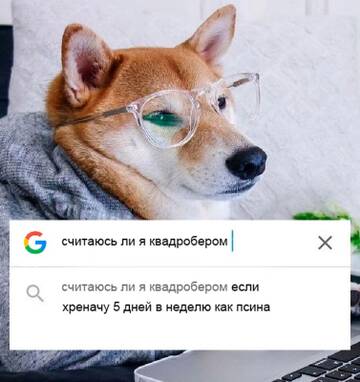 https://forumupload.ru/uploads/0019/c6/9f/89/t511165.jpg
