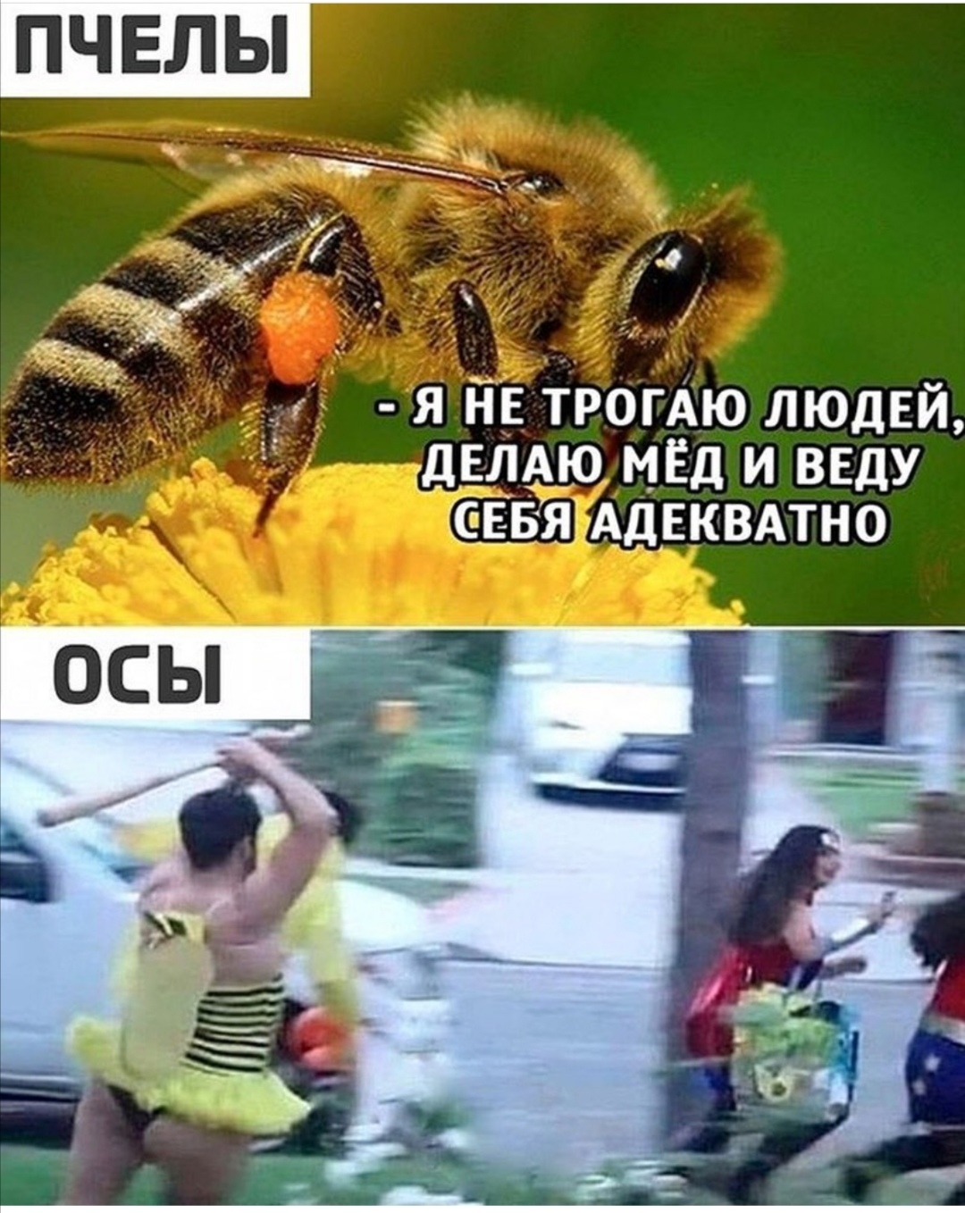 https://forumupload.ru/uploads/0019/c7/e0/89/873584.jpg
