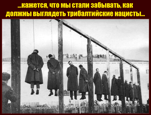 https://forumupload.ru/uploads/0019/d2/d8/183/t229965.png