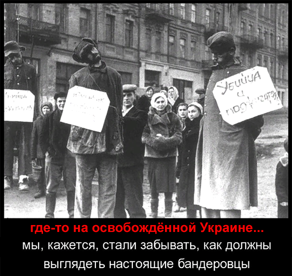 https://forumupload.ru/uploads/0019/d2/d8/183/t620169.png