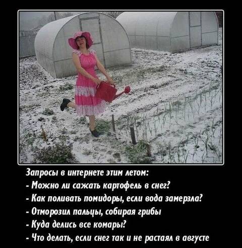 https://forumupload.ru/uploads/0019/d2/d8/183/t759927.jpg