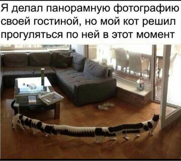 https://forumupload.ru/uploads/0019/d2/d8/227/t625961.jpg