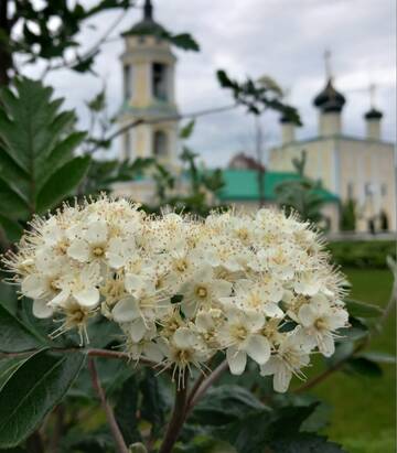 https://forumupload.ru/uploads/0019/d2/d8/249/t566327.jpg