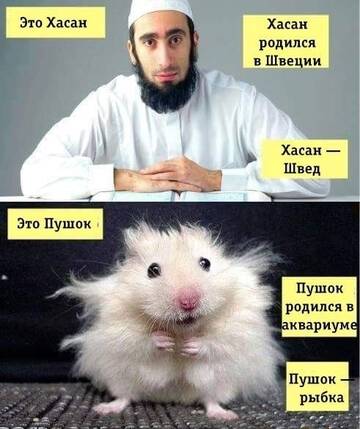 https://forumupload.ru/uploads/0019/d2/d8/255/t422800.jpg