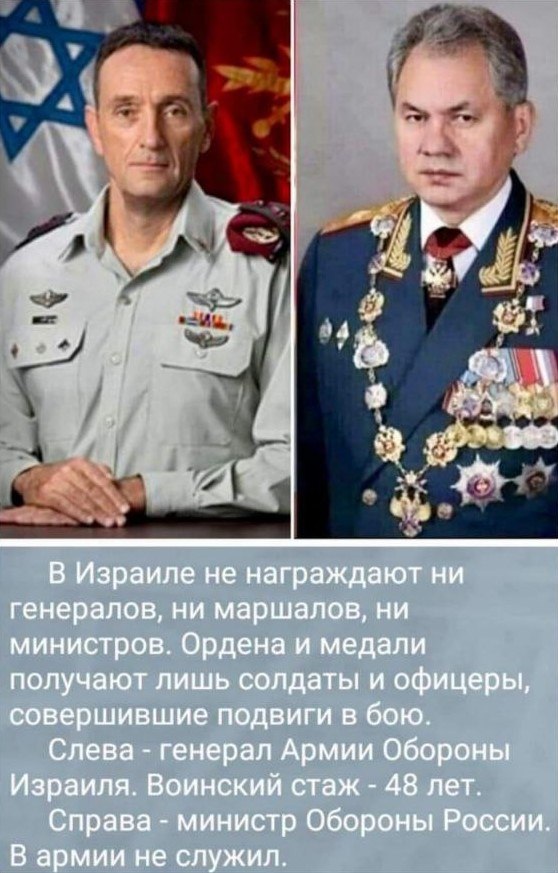 https://forumupload.ru/uploads/0019/d2/d8/57/t969538.jpg