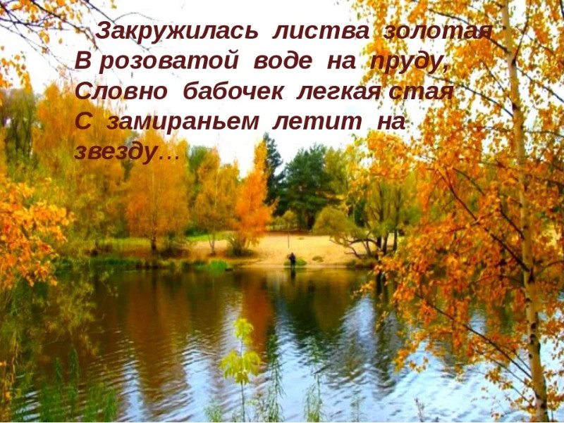 https://forumupload.ru/uploads/0019/f6/b8/107/184074.jpg