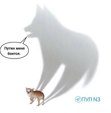 https://forumupload.ru/uploads/0019/f6/b8/78/t432467.jpg