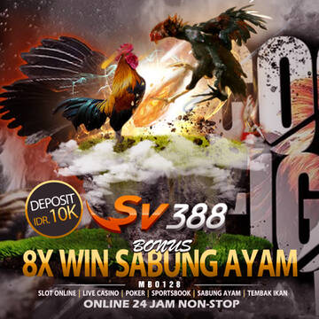 SV388: Situs Sabung Ayam Resmi di Indonesia 24 Jam Online T17261