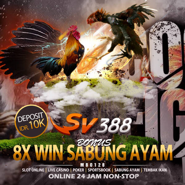 MBO128: Situs Sabung Ayam SV388 Terpercaya | Bonus Kemenangan Beruntun T415399