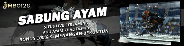 SV388: Agen Resmi Sabung Ayam Online Live T555933