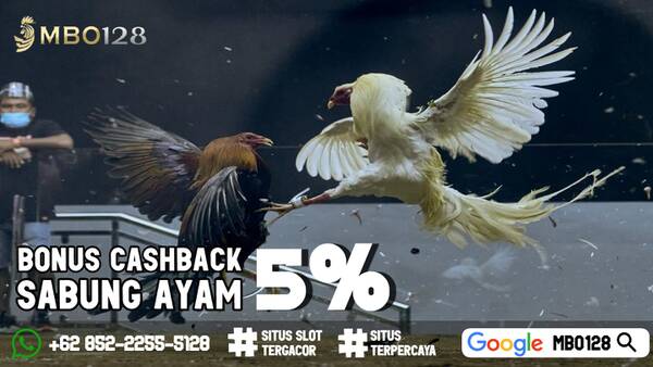 SITUS SABUNG AYAM ONLINE TERPERCAYA 2022 T670117