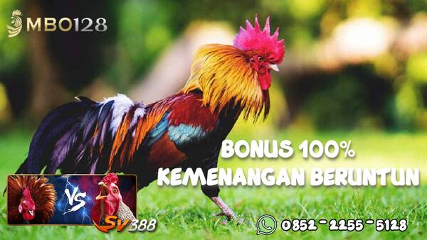 SITUS SABUNG AYAM ONLINE TERPERCAYA 2022 T723769