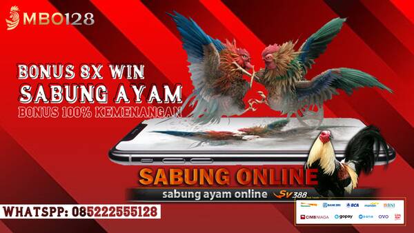 MBO128 Agen Sabung Ayam Online Terbesar T924198