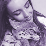 https://forumupload.ru/uploads/0019/f8/b0/33/203854.jpg