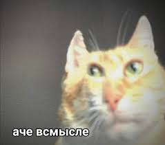 https://forumupload.ru/uploads/0019/f8/b0/85/t226288.jpg