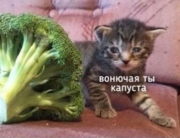 https://forumupload.ru/uploads/0019/f8/b0/85/t34763.jpg