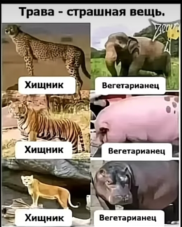 https://forumupload.ru/uploads/001a/00/cb/43/857697.jpg