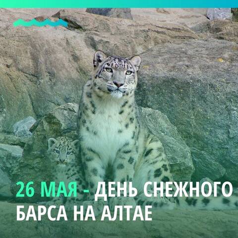 13 июля день признания своей гиковости. Смотреть фото 13 июля день признания своей гиковости. Смотреть картинку 13 июля день признания своей гиковости. Картинка про 13 июля день признания своей гиковости. Фото 13 июля день признания своей гиковости