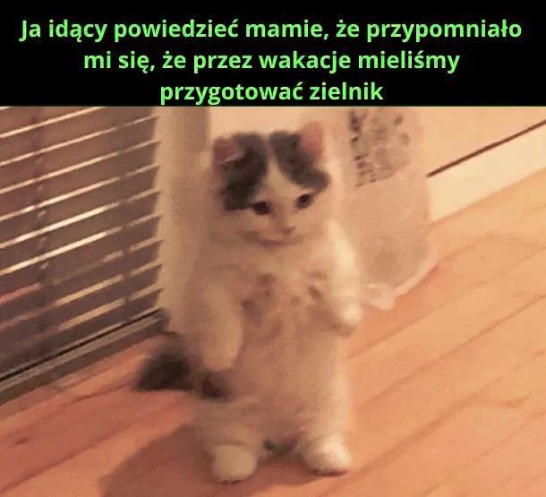 https://forumupload.ru/uploads/001a/00/cb/8/902399.jpg