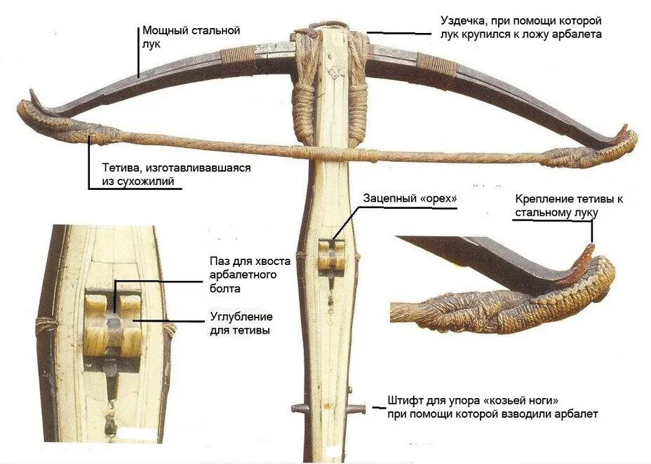 https://forumupload.ru/uploads/001a/0a/5b/4/173686.jpg