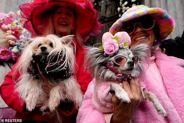 «Сотни жителей Нью-Йорка заполонили улицы Манхэттена на ежегодном Пасхальном параде, одетые в яркие наряды, дополненные кроличьими ушками»: На пасхальный парад шляп пришли даже собаки в маскарадных костюма T937097