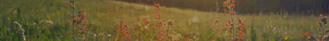 https://forumupload.ru/uploads/001a/0f/73/124/t939065.gif