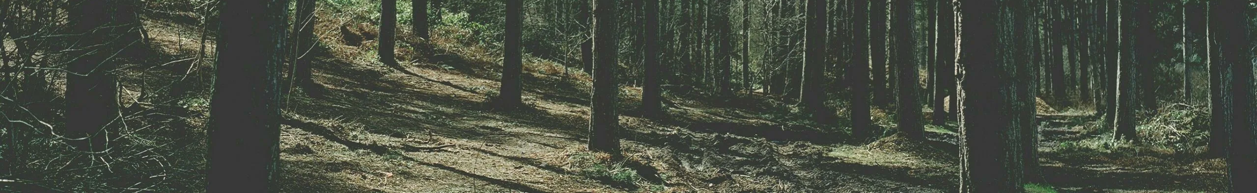 https://forumupload.ru/uploads/001a/0f/73/129/716693.png