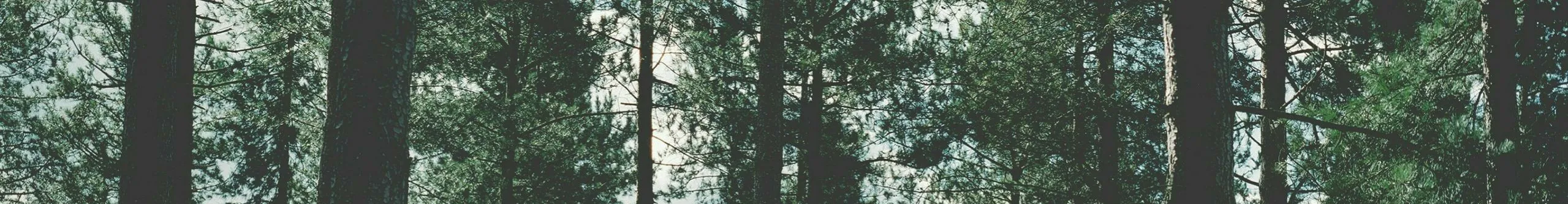 https://forumupload.ru/uploads/001a/0f/73/129/867635.png