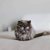 https://forumupload.ru/uploads/001a/0f/73/138/t861072.jpg