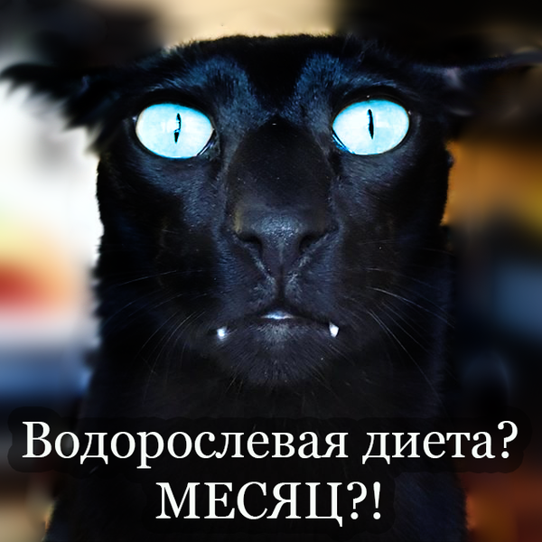 https://forumupload.ru/uploads/001a/0f/73/73/t600544.png