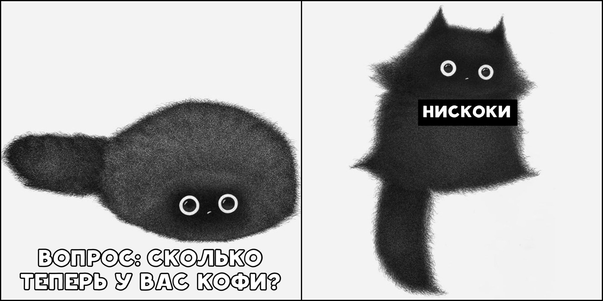 Я напився. Кусьна кот. Кусьна Мем. Кофи Дайти. Кофи котик.