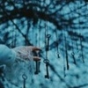 https://forumupload.ru/uploads/001a/2e/af/308/327850.jpg