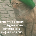 https://forumupload.ru/uploads/001a/2e/af/682/574944.png
