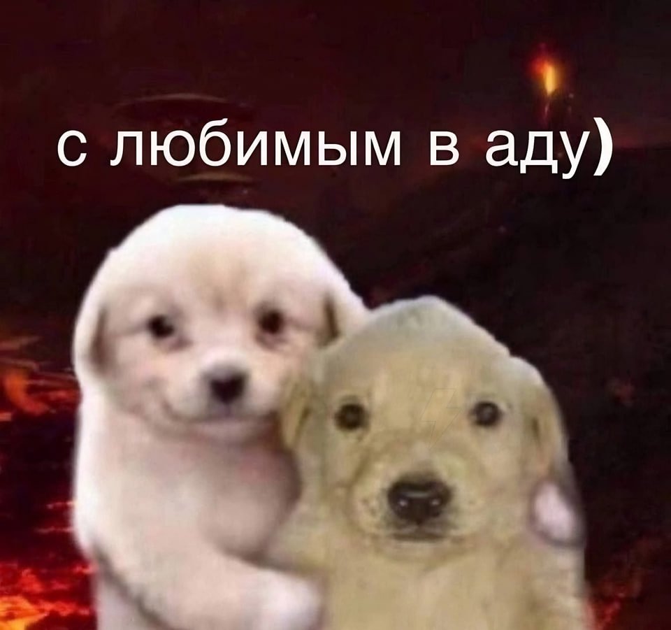 https://forumupload.ru/uploads/001a/2e/af/930/843923.jpg