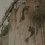 https://forumupload.ru/uploads/001a/2e/af/938/560430.png
