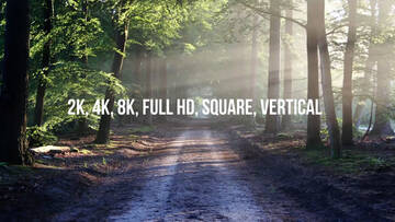  Premiere Pro 1 - 100