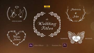  Premiere Pro 1 - 100