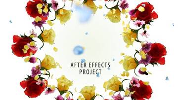 Project After Effects  1200  1300