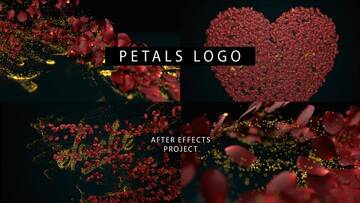 Project After Effects  1200  1300