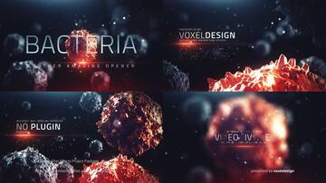 Project After Effects  1100  1200