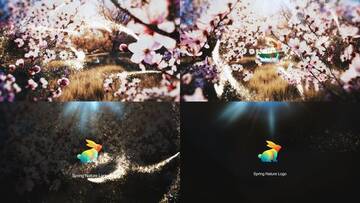 Project After Effects  3300  3400