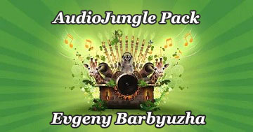 AudioJungle     After Effects VideoHive