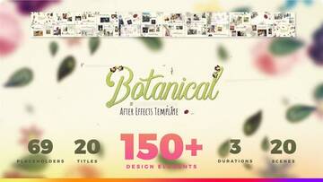 Project After Effects  800  900