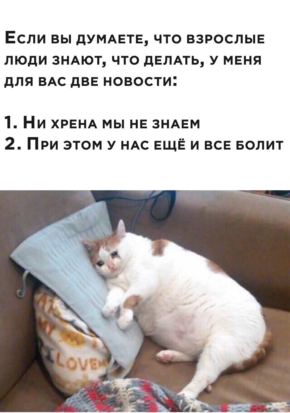 https://forumupload.ru/uploads/001a/74/14/129/485388.jpg