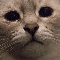 https://forumupload.ru/uploads/001a/7a/64/2/t474800.png