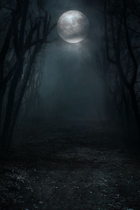 https://forumupload.ru/uploads/001a/8c/05/249/384169.jpg