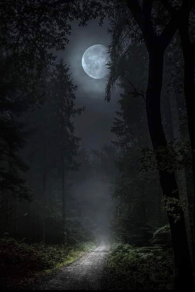 https://forumupload.ru/uploads/001a/8c/05/249/853695.jpg