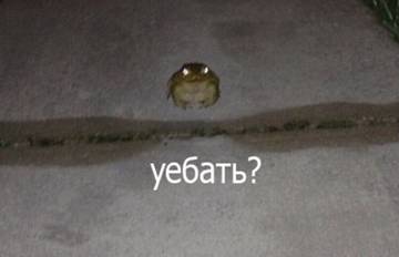 https://forumupload.ru/uploads/001a/8c/12/6/t492415.jpg