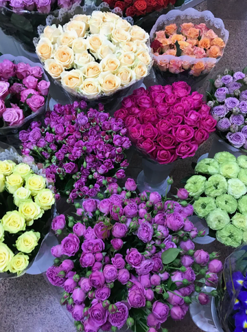 https://forumupload.ru/uploads/001a/b1/70/111/t756644.png
